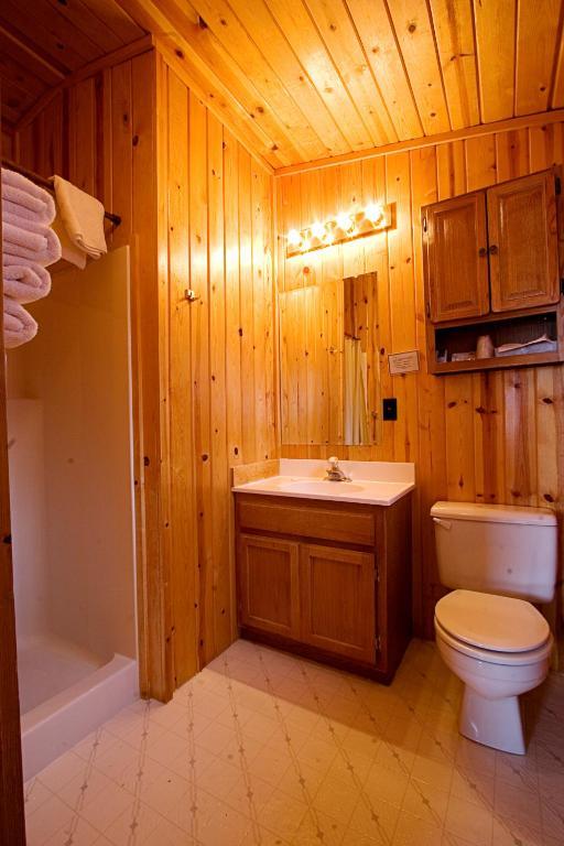 Teton Valley Cabins Дригс Стая снимка