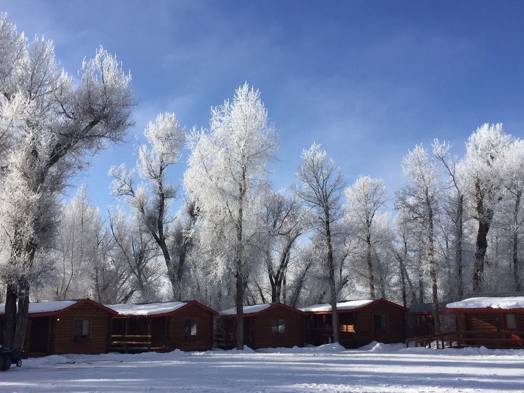 Teton Valley Cabins Дригс Екстериор снимка