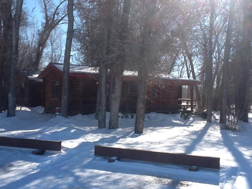 Teton Valley Cabins Дригс Екстериор снимка